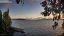 ./images/koeye/fitz-hugh/20260606/fitz-hugh20260606_213502M.jpg