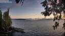 ./images/koeye/fitz-hugh/20260606/fitz-hugh20260606_214001M.jpg