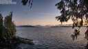 ./images/koeye/fitz-hugh/20260606/fitz-hugh20260606_215002M.jpg