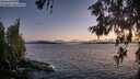 ./images/koeye/fitz-hugh/20260606/fitz-hugh20260606_215501M.jpg