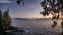 ./images/koeye/fitz-hugh/20260606/fitz-hugh20260606_220002M.jpg