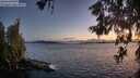 ./images/koeye/fitz-hugh/20260606/fitz-hugh20260606_221001M.jpg