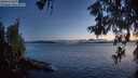 ./images/koeye/fitz-hugh/20260606/fitz-hugh20260606_223001M.jpg