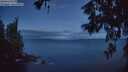 ./images/koeye/fitz-hugh/20260607/fitz-hugh20260607_042501M.jpg