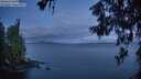 ./images/koeye/fitz-hugh/20260607/fitz-hugh20260607_044001M.jpg