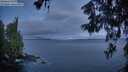 ./images/koeye/fitz-hugh/20260607/fitz-hugh20260607_044501M.jpg