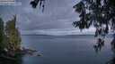 ./images/koeye/fitz-hugh/20260607/fitz-hugh20260607_045501M.jpg