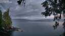 ./images/koeye/fitz-hugh/20260607/fitz-hugh20260607_050001M.jpg