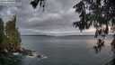 ./images/koeye/fitz-hugh/20260607/fitz-hugh20260607_051002M.jpg