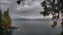./images/koeye/fitz-hugh/20260607/fitz-hugh20260607_051501M.jpg