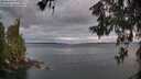 ./images/koeye/fitz-hugh/20260607/fitz-hugh20260607_052501M.jpg
