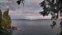 ./images/koeye/fitz-hugh/20260607/fitz-hugh20260607_053002M.jpg