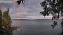 ./images/koeye/fitz-hugh/20260607/fitz-hugh20260607_053501M.jpg