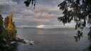 ./images/koeye/fitz-hugh/20260607/fitz-hugh20260607_060002M.jpg
