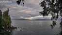 ./images/koeye/fitz-hugh/20260607/fitz-hugh20260607_062002M.jpg