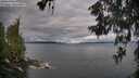 ./images/koeye/fitz-hugh/20260607/fitz-hugh20260607_063501M.jpg