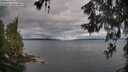 ./images/koeye/fitz-hugh/20260607/fitz-hugh20260607_064001M.jpg