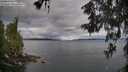 ./images/koeye/fitz-hugh/20260607/fitz-hugh20260607_064502M.jpg