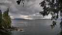 ./images/koeye/fitz-hugh/20260607/fitz-hugh20260607_072501M.jpg
