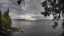 ./images/koeye/fitz-hugh/20260607/fitz-hugh20260607_073002M.jpg