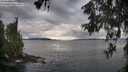 ./images/koeye/fitz-hugh/20260607/fitz-hugh20260607_073501M.jpg
