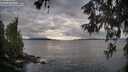 ./images/koeye/fitz-hugh/20260607/fitz-hugh20260607_074001M.jpg