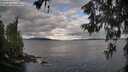 ./images/koeye/fitz-hugh/20260607/fitz-hugh20260607_074501M.jpg
