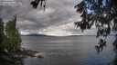 ./images/koeye/fitz-hugh/20260607/fitz-hugh20260607_075502M.jpg