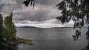 ./images/koeye/fitz-hugh/20260607/fitz-hugh20260607_080501M.jpg