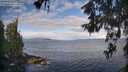 ./images/koeye/fitz-hugh/20260607/fitz-hugh20260607_082501M.jpg