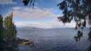 ./images/koeye/fitz-hugh/20260607/fitz-hugh20260607_083001M.jpg