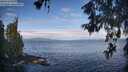 ./images/koeye/fitz-hugh/20260607/fitz-hugh20260607_084001M.jpg