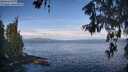 ./images/koeye/fitz-hugh/20260607/fitz-hugh20260607_084501M.jpg