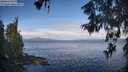 ./images/koeye/fitz-hugh/20260607/fitz-hugh20260607_085002M.jpg