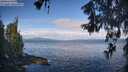 ./images/koeye/fitz-hugh/20260607/fitz-hugh20260607_085501M.jpg