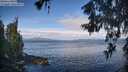 ./images/koeye/fitz-hugh/20260607/fitz-hugh20260607_090002M.jpg