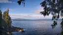 ./images/koeye/fitz-hugh/20260607/fitz-hugh20260607_090501M.jpg