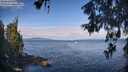 ./images/koeye/fitz-hugh/20260607/fitz-hugh20260607_091501M.jpg