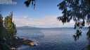./images/koeye/fitz-hugh/20260607/fitz-hugh20260607_092002M.jpg