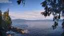 ./images/koeye/fitz-hugh/20260607/fitz-hugh20260607_092502M.jpg