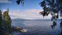 ./images/koeye/fitz-hugh/20260607/fitz-hugh20260607_093001M.jpg
