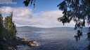 ./images/koeye/fitz-hugh/20260607/fitz-hugh20260607_093501M.jpg