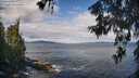 ./images/koeye/fitz-hugh/20260607/fitz-hugh20260607_094001M.jpg