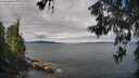 ./images/koeye/fitz-hugh/20260607/fitz-hugh20260607_095501M.jpg