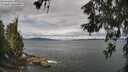 ./images/koeye/fitz-hugh/20260607/fitz-hugh20260607_100501M.jpg