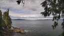 ./images/koeye/fitz-hugh/20260607/fitz-hugh20260607_101001M.jpg