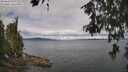./images/koeye/fitz-hugh/20260607/fitz-hugh20260607_101502M.jpg