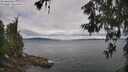 ./images/koeye/fitz-hugh/20260607/fitz-hugh20260607_102002M.jpg