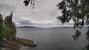 ./images/koeye/fitz-hugh/20260607/fitz-hugh20260607_103001M.jpg