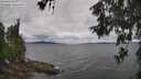 ./images/koeye/fitz-hugh/20260607/fitz-hugh20260607_103501M.jpg